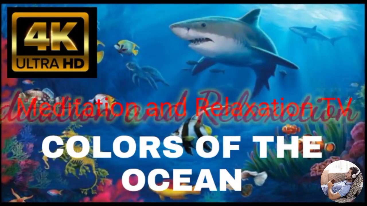 Amazing underwater world ambience, animals ,underwater ocean with relaxing sound