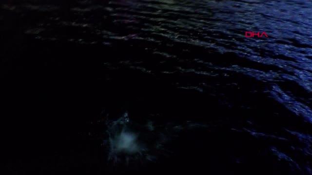 Yeni yıla boğazda yüzerek girdiler