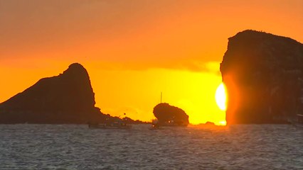 나들이객, 새해 첫 해돋이보며 소원 빌어 / YTN