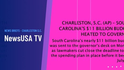 LOCALNEWS-CHARLESTON, S.C.-2