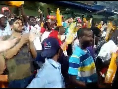 المصريون قبل السنغاليين.. فرحة عارمة في مدرجات استاد القاهرة بهدف ماني