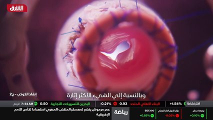 ...بون بشراء اللحم الصحي بسعر مقبول ، عندها...