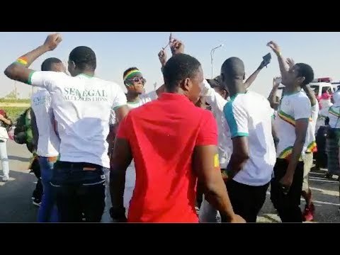 مدرجات ستاد القاهرة تشتعل بتوافد الجماهير قبل مواجهة الجزائر والسنغال