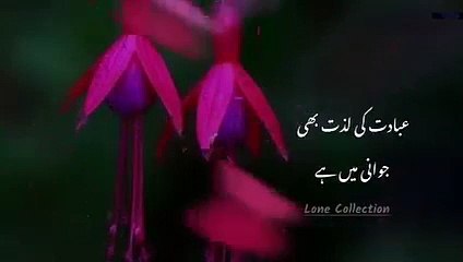 short clip by tariq jamil