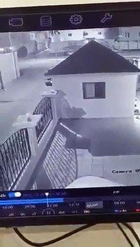 شاهد: كلاب ضالة تُطارد طفلاً يقود دراجة هوائية ليلاً بالطائف