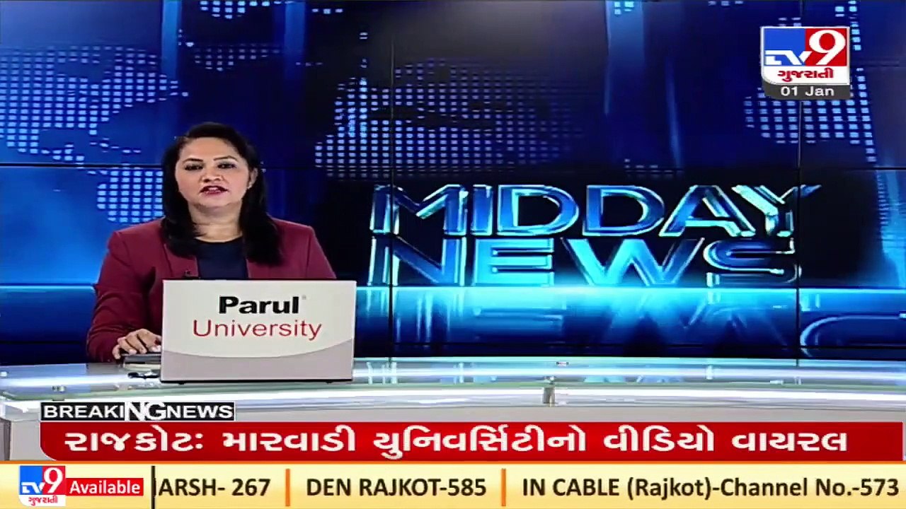 Menace of stray cattle continues in Vadodara _ TV9News