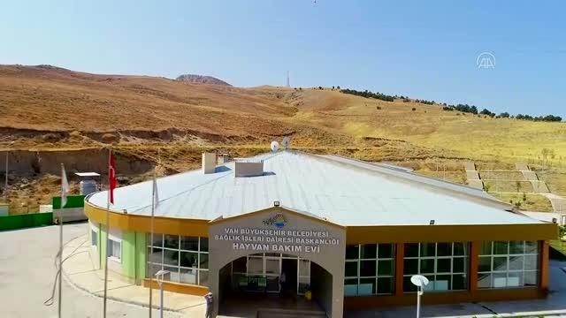 Atıl durumdaki tesis sokak hayvanlarına yuva oldu