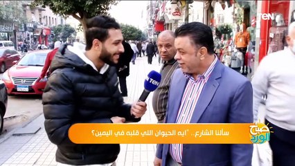 سألنا الناس في الشارع.. إيه الحيوان اللي قلبه في اليمين؟