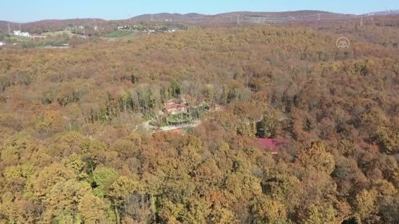 Avrupa'nın en büyük doğal yaşam parkı geçen yıl 6,5 milyon ziyaretçi ağırladı