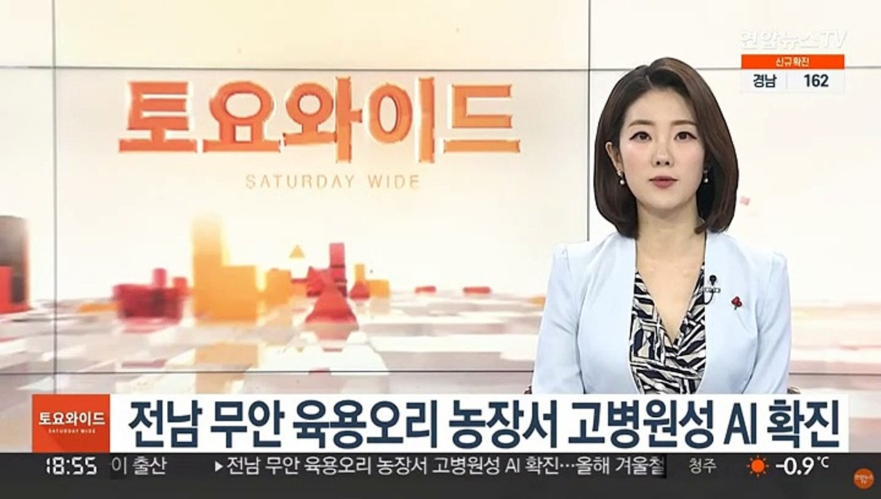 전남 무안 육용오리 농장서 고병원성 AI 확진