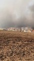 شاهد: الحرائق تضرب ولاية كولورادو الأمريكية وتقضي على 1600 فدان