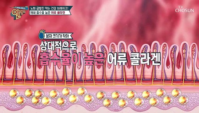 피부탄력 UP↗ 흡수율 높은 『저분자 콜라겐 펩타이드』 TV CHOSUN 20220102 방송