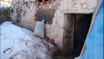 Sivas'ta kuzu emdiren Kangal çoban köpeği