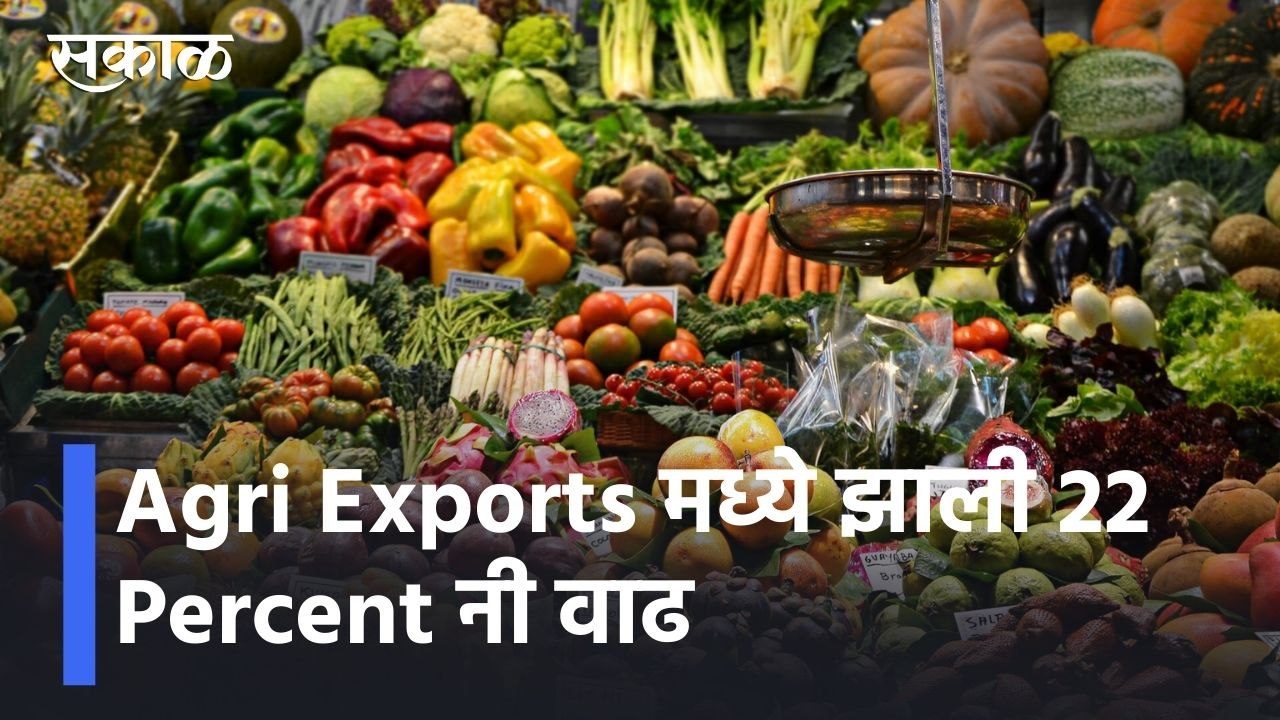 Agri Exports मध्ये झाली 22 Percent नी वाढ l Sakal