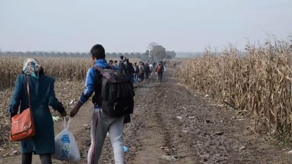 حصاد 2021.. أزمة اللجوء والنزوح