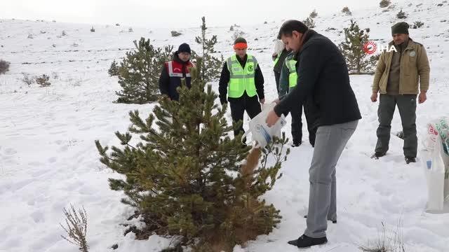 Sivas Valisi Salih Ayhan yaban hayvanları için doğaya yem bıraktı