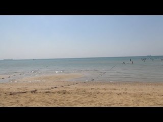 رحلات لذوي الاحتياجات الخاصة وكبار السن فقط: بنرسم السعادة في قلوبهم