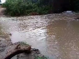 Após açude sangrar no Vale do Piancó, moradores pescam matando peixes a pauladas