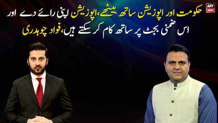 Government and opposition can work together said Fawad Chaudhry