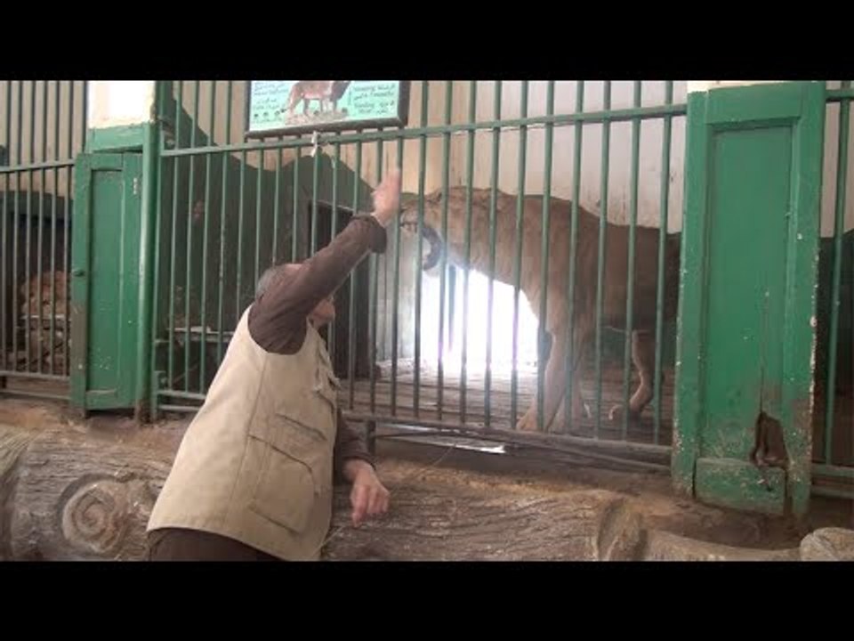 التذكرة بـ5 جنيهات.. حديقة الحيوان تستعد لاستقب...