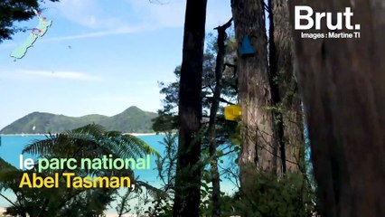 Des idées pour un road trip en Nouvelle-Zélande