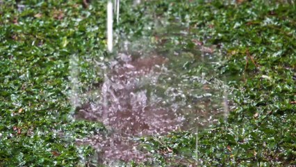 Puddle producing  stunning rain sound