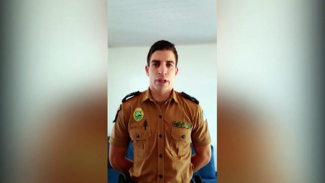 Polícia Militar fala sobre caso em que cachorra foi baleada em local de ocorrência