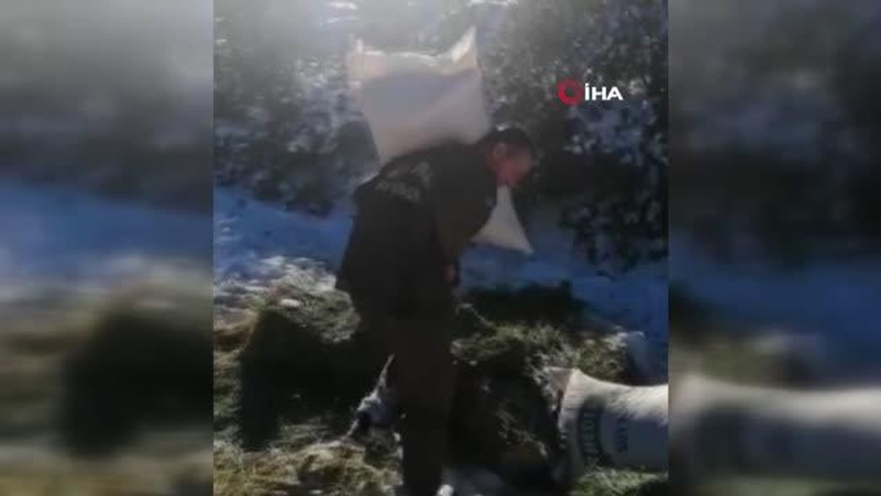 Ağır kış şartlarında doğadaki canlılar unutulmadı