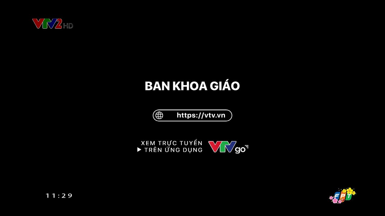 Đài TH Việt Nam | VTV2 ident 2021 (Gia đình)