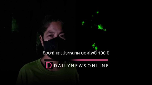 ฮือฮา! แสงประหลาด ยอดโพธิ์100ปี โผล่ทุกคืนทำชาวบ้านผวา วอนพิสูจน์ | HOTSHOT เดลินิวส์ 02/01/65