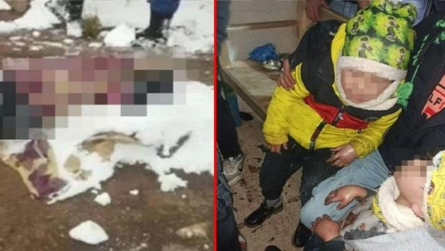 Türkiye'ye geçmek isterken donarak ölmüştü! Afgan anneyle ilgili Van Valiliği'nden açıklama: Çocukları İran askeri teslim aldı