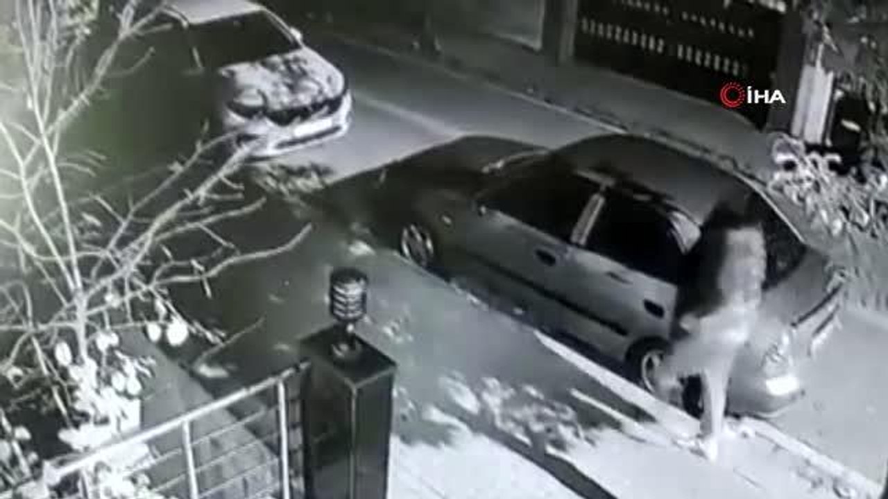 Son dakika haber! Televizyon hırsızları kamerada... Çaldıkları televizyonu ve yazarkasayı böyle götürdüler