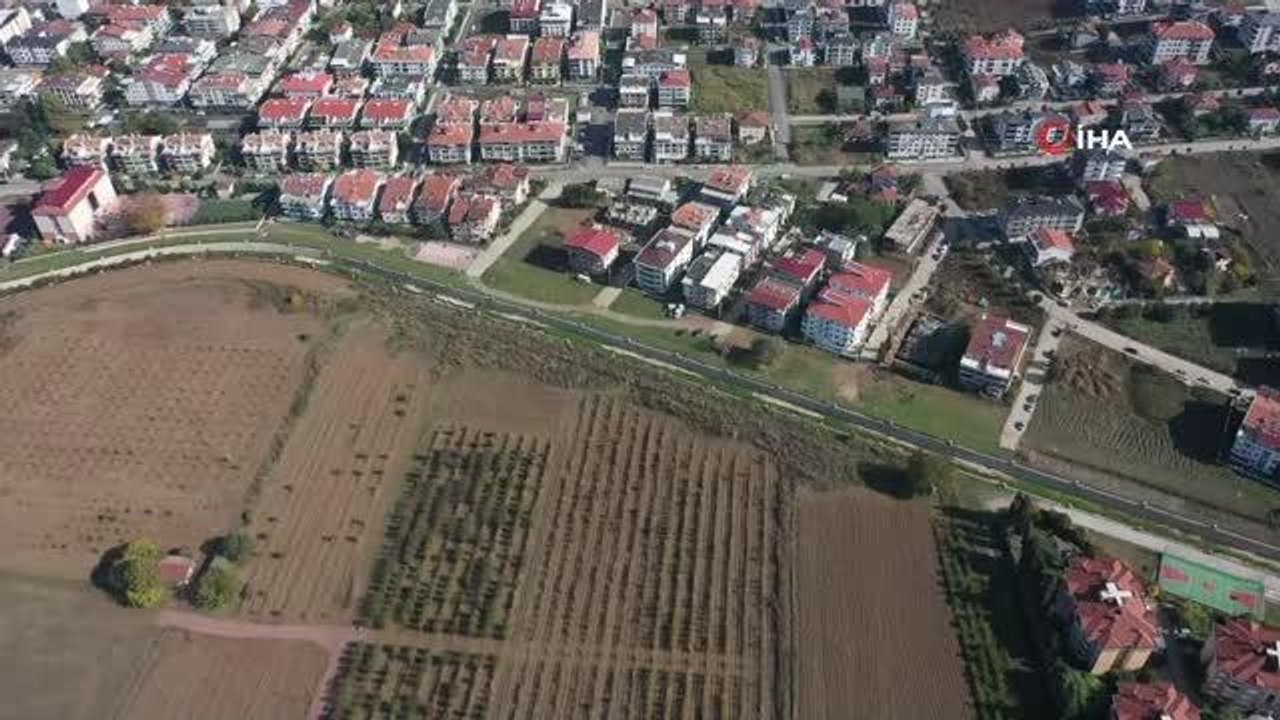 Türkiye'nin ilk "meyve" temalı millet bahçesi Yalova'da yapılıyor