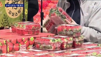 500g 한 팩에 2만 원 ‘턱밑’…손대기 겁나는 겨울 딸기