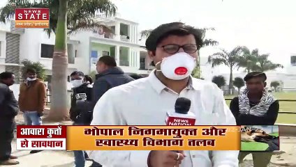 Madhya Pradesh News : Bhopal के अंजली विहार कॉलोनी में नगर निगम द्वारा कुत्ते पकड़ने का काम जारी