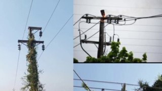 Local reason of Fault on overhead power lines.