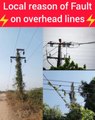 Local reason of Fault on overhead power lines.