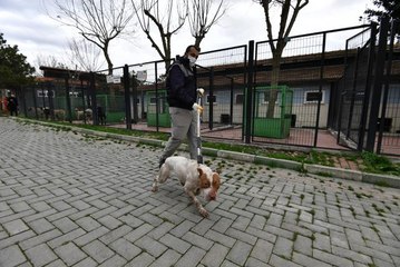 Yasaklı ırk köpek denetimi artırıldı