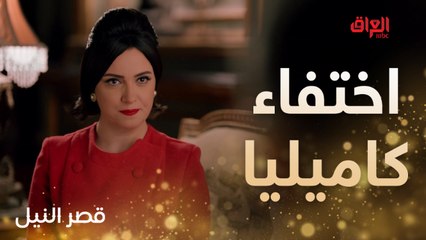 اختفاء كاميليا من قصر النيل.. جريمة تلوح بالأفق