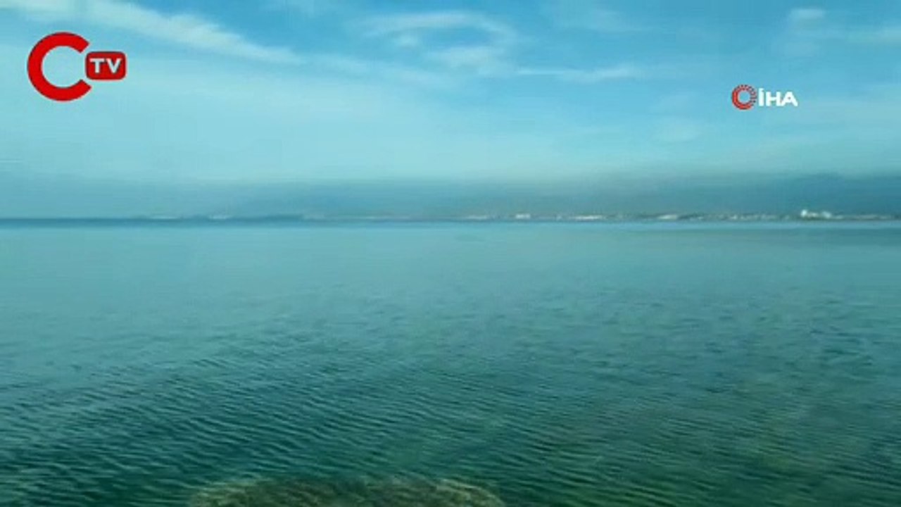 İzmir Dikili'de yunusların şovu mest etti