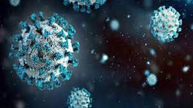 Omicron Vs Delta: How different is Omicron from Delta?