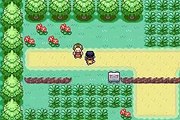 Pokémon Retour à Kanto: Nouvelle Ère online multiplayer - gba