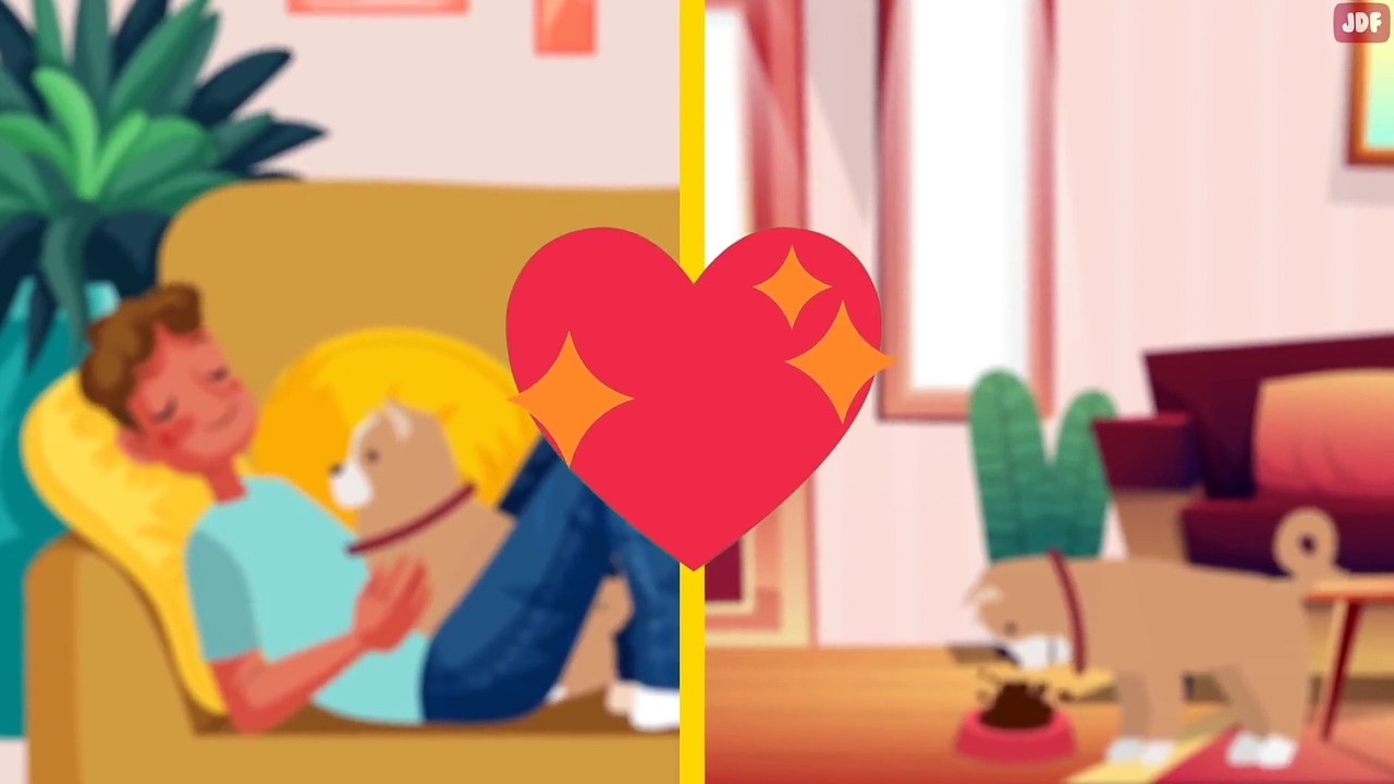 14 Signs Your Dog Doesnt Love You Even if You Think They Do