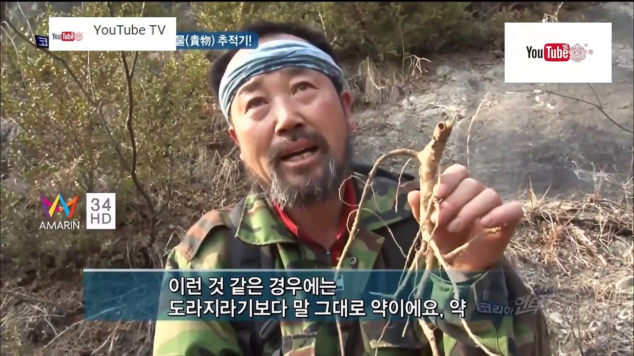 ความลับแห่งเอเชีย ชุด Korea Hunter ตอน ตามหาเห็ดช่วยชีวิตคน