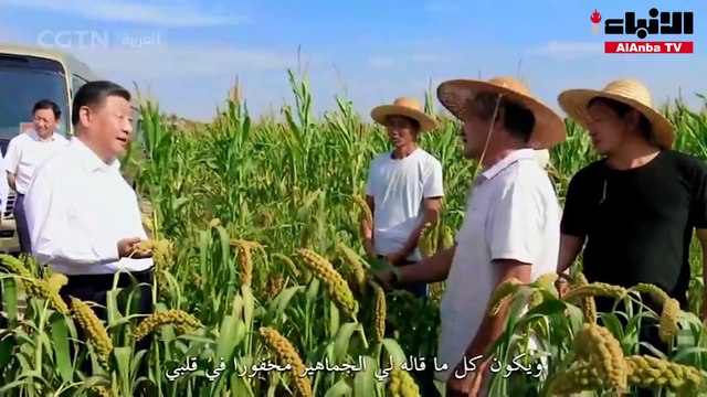 الرئيس الصيني شي جين بينغ نهضة الأمة لن تكون سهلة المنال والمطلوب الصمود والصبر الإستراتيجيين