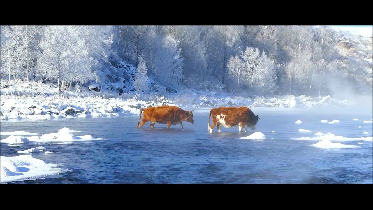 Vidéo thématique de la saison promotionnelle du tourisme hivernal de la Chine du Nord 2022北方冬游推广宣传片