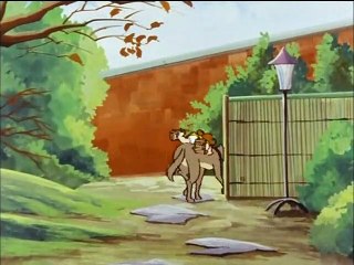 Coccinella Ep. 012 Arriva Babbo Natale