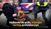 Hollanda polisinden protestoculara köpekli müdahale