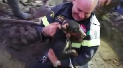 Lomazzo (CO) - Salvati due cani finiti in un cunicolo interrato (02.01.22)