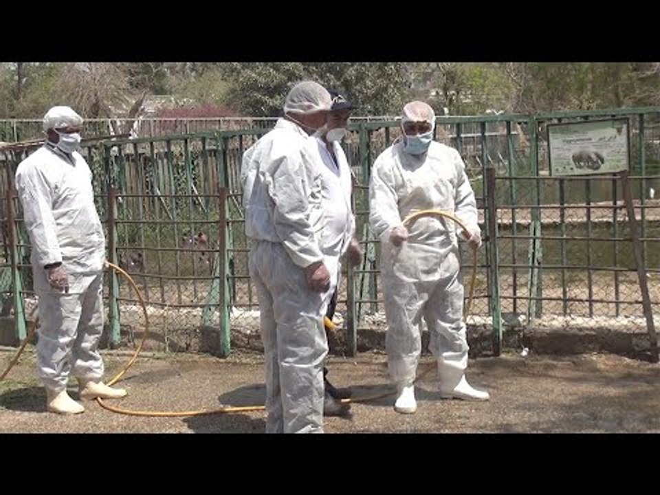 بمساعدة الحراس   تعقيم  حديقة الحيوان للوقاية م...
